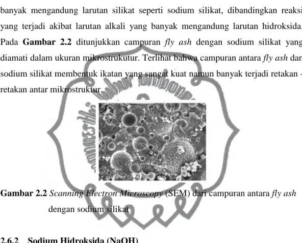 Gambar 2.2 Scanning Electron Microscopy (SEM) dari campuran antara fly ash            dengan sodium silikat 