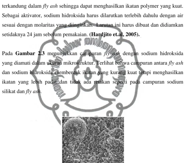 Gambar 2.3 Scanning Electron Microscopy (SEM) dari campuran antara fly ash            dengan sodium hidroksida 