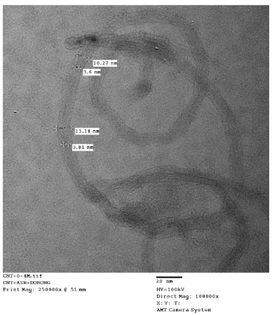 Figure 3. As-received carbon nanotubes acquaired by TEM 