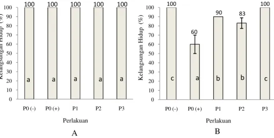 Gambar  4  Tingkat  kelangsungan  hidup  udang  vaname  selama  perlakuan  penambahan    probiotik,  prebiotik  dan  sinbiotik  (A)  dan  pasca  uji  tantang dengan bakteri patogen V
