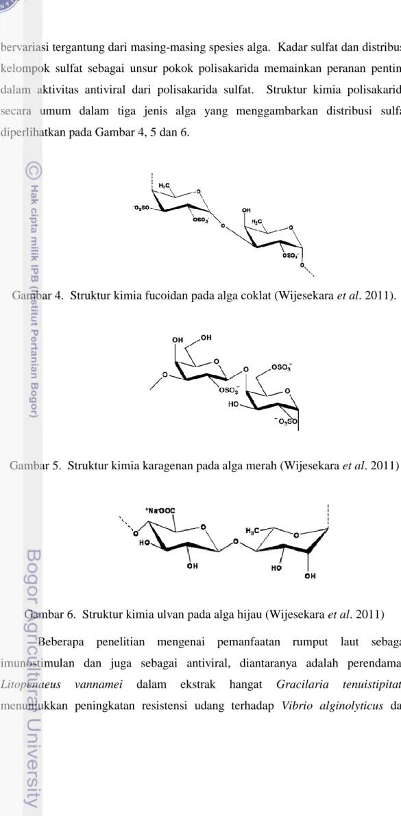 Gambar 4.  Struktur kimia fucoidan pada alga coklat (Wijesekara et al. 2011). 