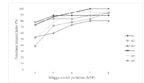 Gambar  6 Persentase  keberhasilan  eksplan  berkalus  4-8 MSP 
