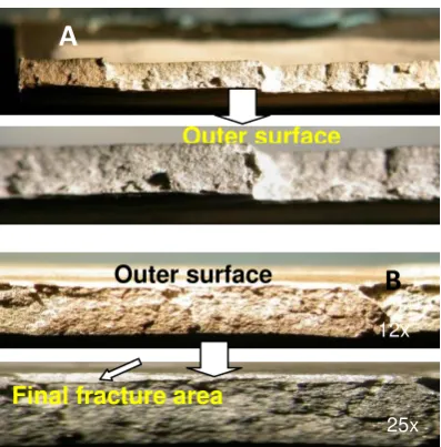 Table 1. Results of chemical analysis of the ruptured bellows material of the pre-heater in comparison with the standard material 