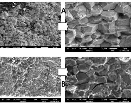 Figure 9.  SEM photofractographs obtained from the fracture surfaces of the ruptured bellows convolutions A and B 