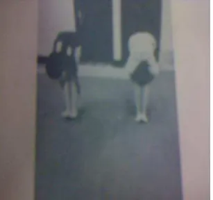 Gambar 3.7 Single Squat Balance 