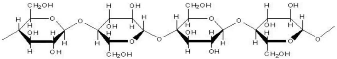 Gambar 2.2 Rumus Molekul Selulosa (Poedjadi, 1994) 
