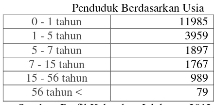 Tabel 3 Penduduk Berdasarkan Usia 