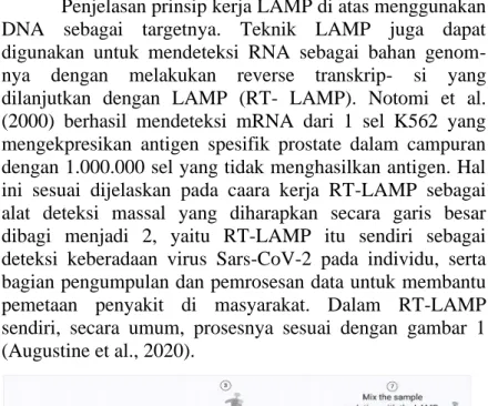 Gambar 1 Proses RT-LAMP  Sumber: Augustine et. al., 2020 