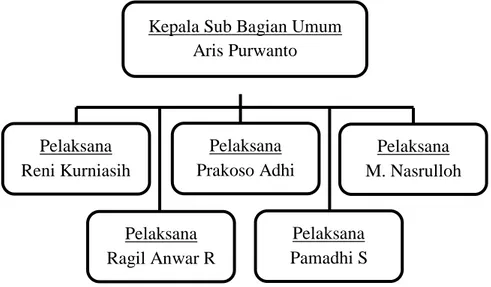 Gambar 2.2 Struktur Organisasi Seksi Sub Bagian Umum 