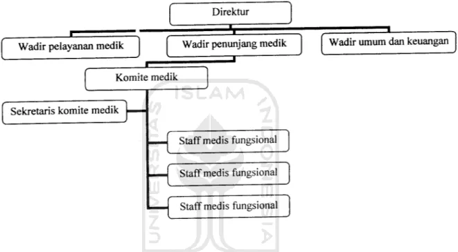 Gambar 3.1 Struktur organisasi Rumah Sakit Umum Daerah