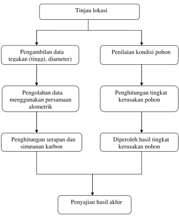 Gambar 2. Bagan alur penelitian 