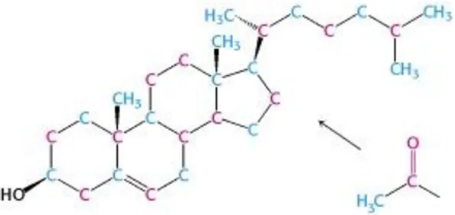 Gambar 3. Struktur kimia kolesterol (Berg dkk., 2012) 