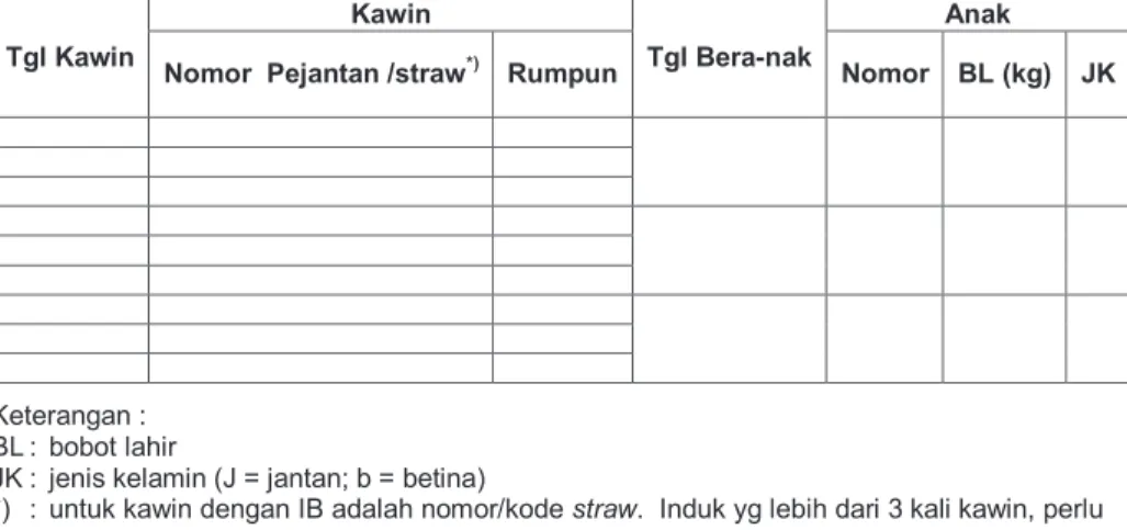 Foto kerbau (sisi kiri) 
