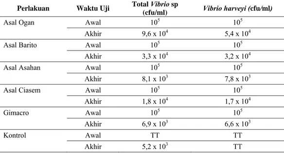 Tabel 4. Kelimpahan total bakteri Vibrio  sp dan Vibrio harveyi pada media   pemeliharaan selama perlakuan