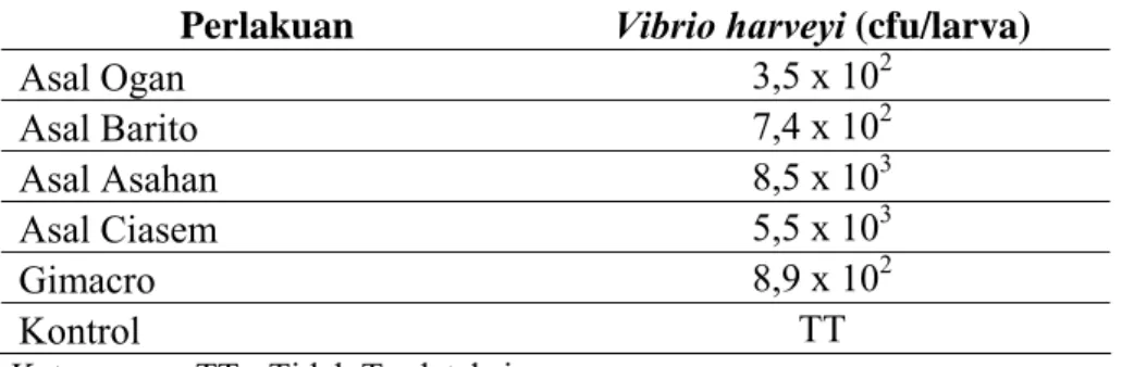 Tabel 5. Kelimpahan bakteri Vibrio harveyi dalam tubuh larva udang galah yang  mengalami kematian