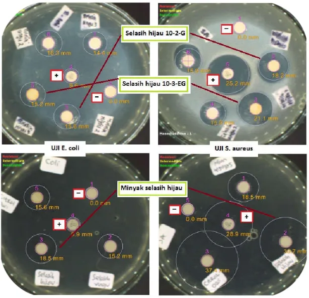 Gambar 7. Contoh hasil uji aktivitas antibakteri dari minyak selasih hijau dan produk  konversinya terhadap bakteri E