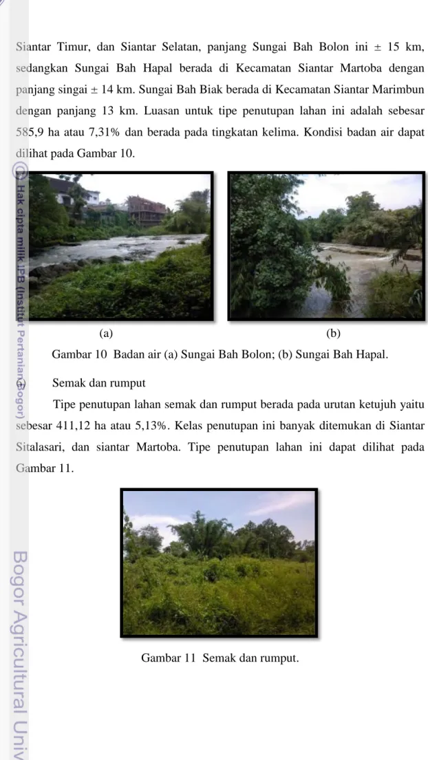 Gambar 10  Badan air (a) Sungai Bah Bolon; (b) Sungai Bah Hapal. 