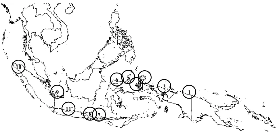 Figure 1. Selaginellas research sites in Nusantara. 1. Cycloops Mountain Nature Reserve, Jayapura, Papua, 2