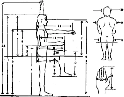 Gambar 3.10. Antropometri Tubuh Manusia yang Diukur Dimensinya 