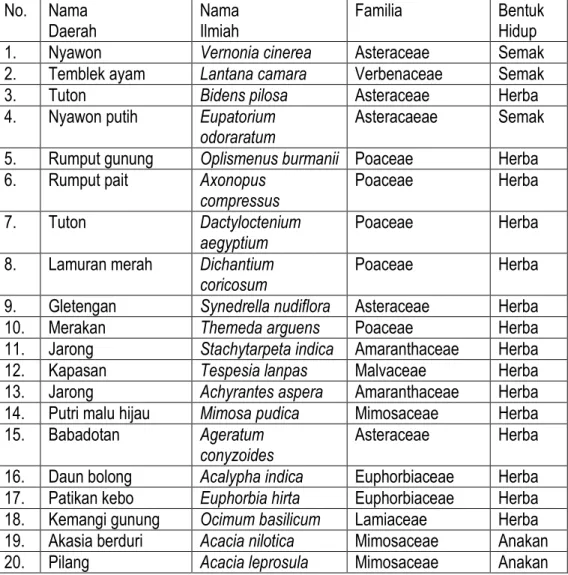 Tabel 1. Komposisi Spesies Yang Dijumpai Di Savana Balanan Yang Terbuka  No.  Nama 