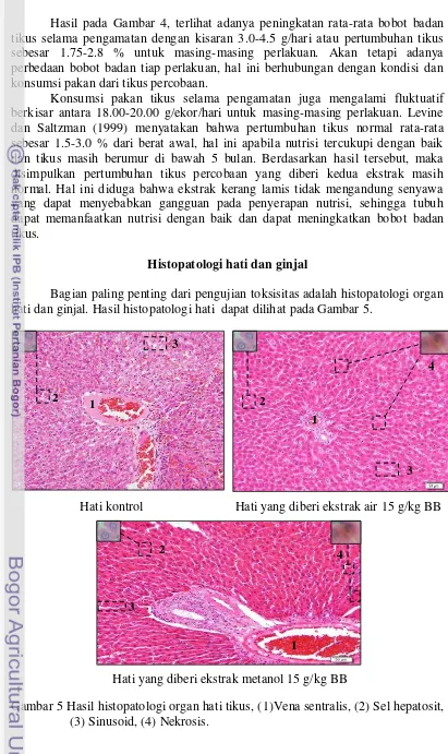 Gambar 5 Hasil histopatologi organ hati tikus, (1)Vena sentralis, (2) Sel hepatosit, 