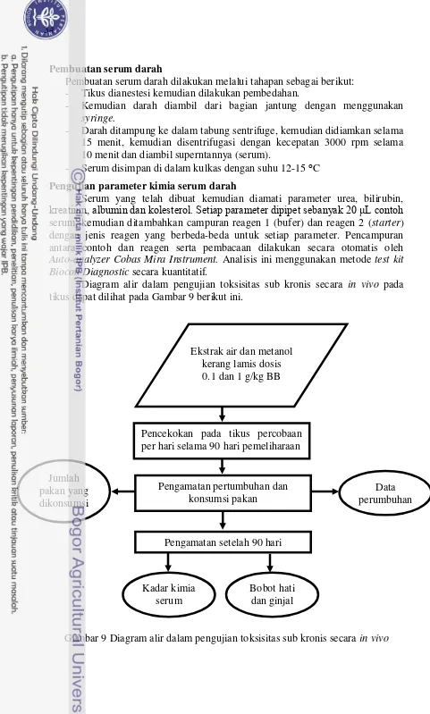 Gambar 9 Diagram alir dalam pengujian toksisitas sub kronis secara in vivo 