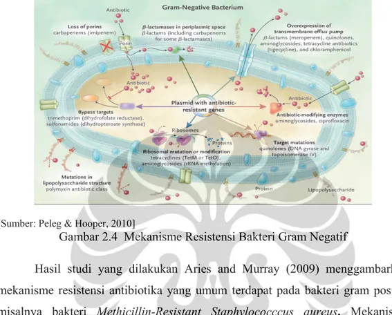 Gambar 2.4  Mekanisme Resistensi Bakteri Gram Negatif 
