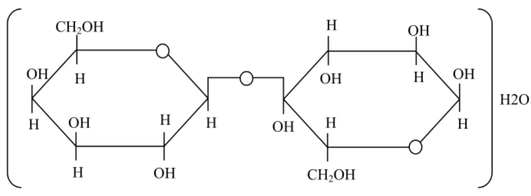 Gambar 2. Rumus struktur laktosa (Anonim, 1979) 