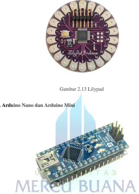 Gambar 2.14 Arduino Nano dan Mini 
