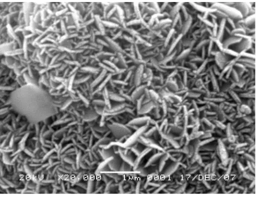 Gambar 4. Foto SEM lapisan tipis litium-mangan oksida pada suhu 400 oC denganperbesaran 20.000 kali.
