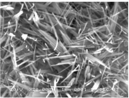 Gambar 5. Foto SEM lapisan tipis litium-mangan oksida pada suhu 500 oC denganperbesaran 20.000 kali.