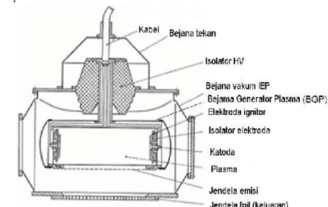 Gambar 1. Skematik sederhana perangkat Iradiator  Elektron Pulsa (IEP) 