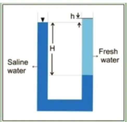 Gambar 1. Hubungan antara air tawar dan air asin  dalam tabung U berdasarkan prinsip 