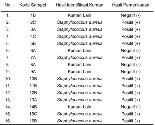 Tabel 1 Hasil Identifikasi bakteri Staphylococcus aureus di Unit  Pelayanan Penunjang Medik Rumah Sakit 