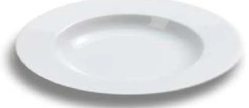 GAMBAR 17. SOUP PLATE 
