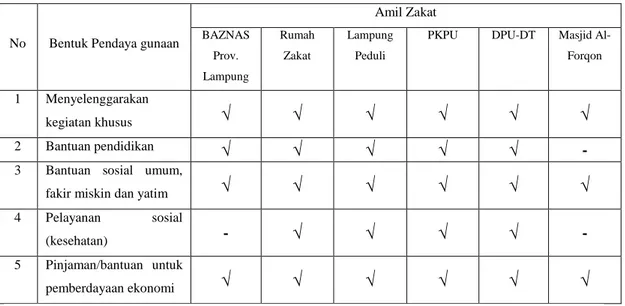 Tabel 5.11. Bentuk Pendayagunaan ZIS Amil Zakat di Provinsi Lampung 