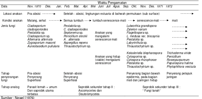 Tabel 1. Suksesi  jenis-jenis fungi yang menghancurkan (breakdown) anakan Rhizophora mangle di Florida menurut waktu dan kondisi anakan  