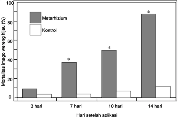 Tabel 1. Pengaruh jamur M. anisopliae terhadap mortalitas wereng hijau.