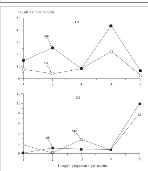 Gambar 5. Perbandingan kepadatan telur Nephotettix virescens pada musim hujan dan kemarau (Widiarta et al
