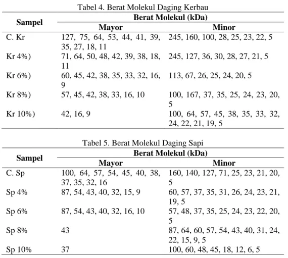Tabel 5. Berat Molekul Daging Sapi 