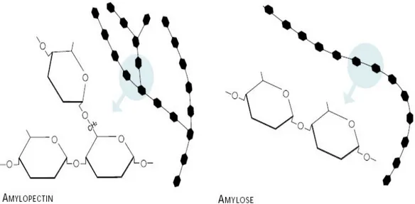 Gambar 2. Struktur Molekul Starch 1500 (Kibbe, 2006)    c.  Natrium alginat 