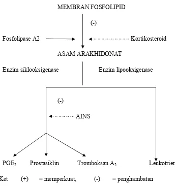 Gambar 4. Pengaruh AINS dan Kortikosteroid25 