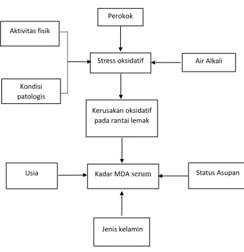 Gambar 2. Kerangka Teori 
