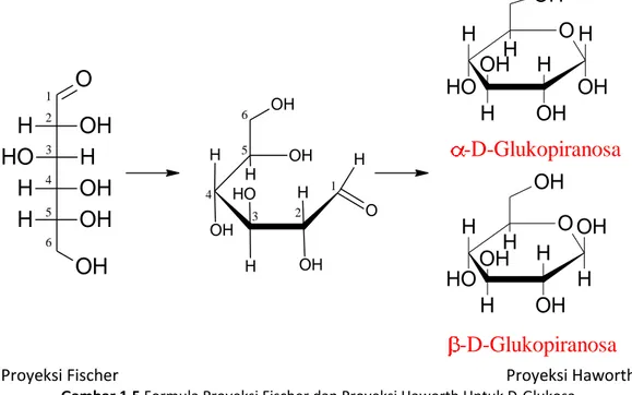Gambar 1.5 Formula Proyeksi Fischer dan Proyeksi Haworth Untuk D-Glukosa 