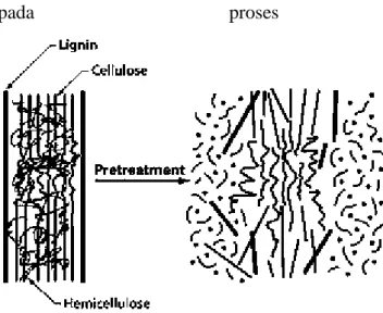 Gambar 2.7. Pretreatment Bioetanol 