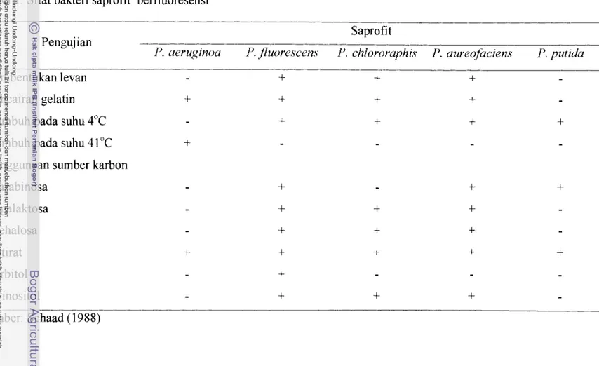Tabel  1 .  Sifat bakteri saprofit  berfluoresensi 