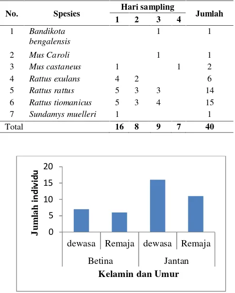 Tabel 2. Jumlah spesies dan jumlahindividu masing-masing spesies yangberhasil dikoleksi berdasarkan hari.