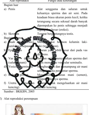 Tabel 2.1. Tabel alat reproduksi dan fungsinya pada laki- laki