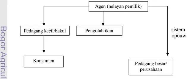 Gambar  14  Bagan  saluran  distribusi  hasil  tangkapan  di  PPI  Muara  Angke  tahun  2010 