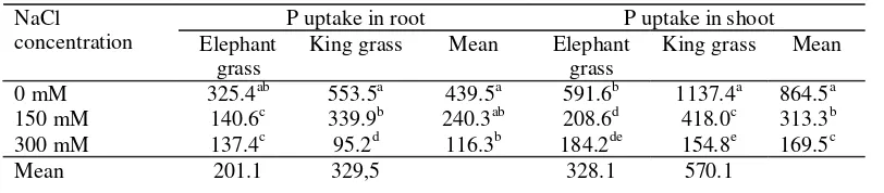 Table 2.  Phosphorus Uptake (mg/pot)  in Root and Shoot of  Elephant Grass and King Grass at Different Concentrantion of NaCl 